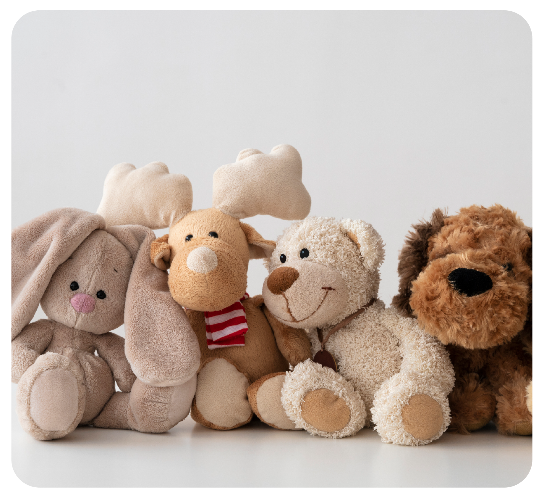 Plush Toys